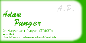 adam punger business card